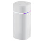 Dual-Nozzle USB Humidifier | 600ml/H Super Mist & Ultra Quiet | Car/Home Moisturizing Device